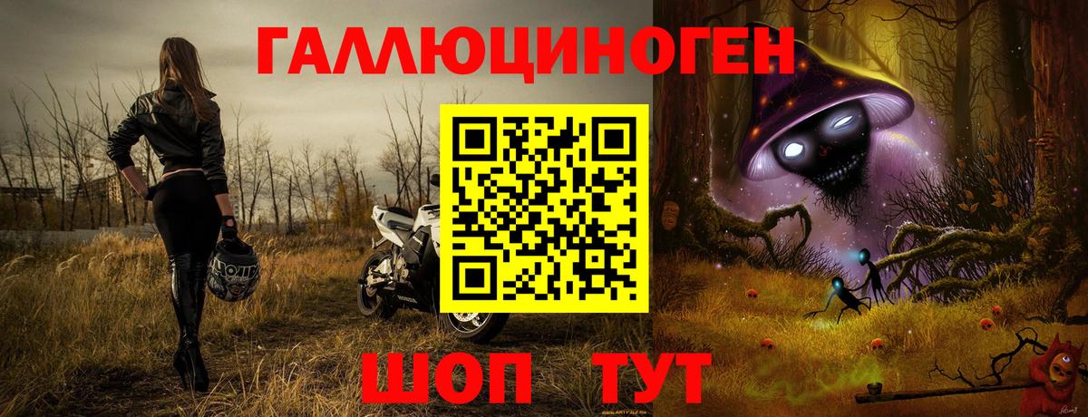 Псилоцибиновые грибы Psilocybine cubensis  Вход с VPN  Прохладный 
