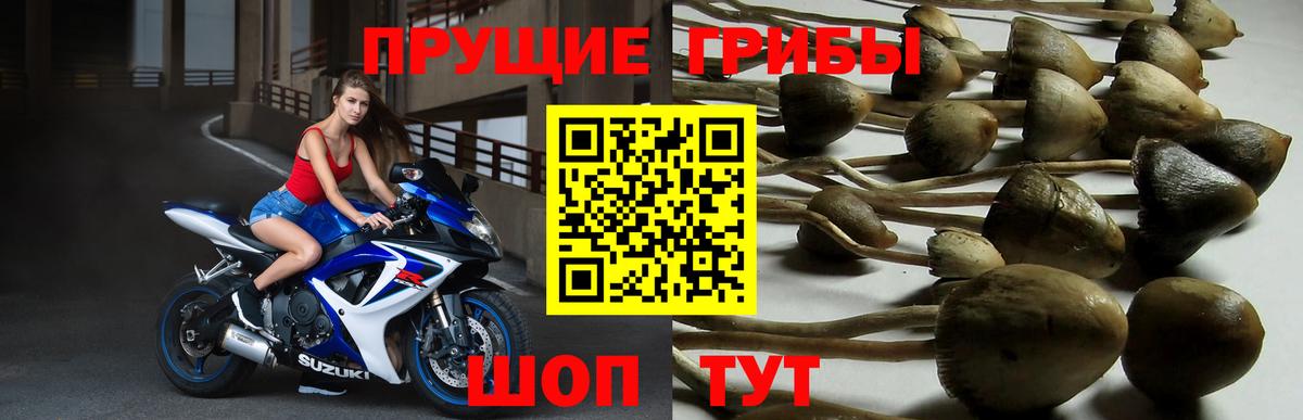 Cocaine  МЕФ  Конопля  Вход с VPN  ГАШ  Прохладный  Меф кристаллы  NBOMe 
